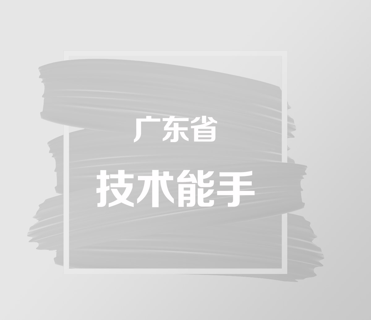 廣東省技術能手